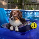 John Brian Wamsley - @wamsleyb - Instagram