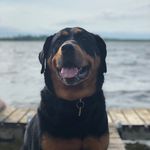 Brian Warford - @b.man_76 - Instagram