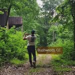 Brian Wehberg - @bushwoods_cc - Instagram