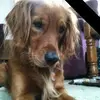 brianweberg - @brianweberg - TikTok