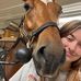 Brianna Wellman - Facebook