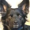 Brian_Ray - @brianweick876 - TikTok