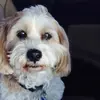 brianne_weidner - @brianne_weidner - TikTok