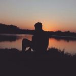 brian weigandt - @weigandtbrian - Instagram