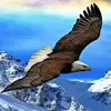 Brian Weikel335 - @brianweikel335 - TikTok