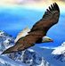 Brian Weikel - Facebook