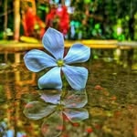 @brian_weimann830 - Instagram