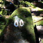 Brian Weinert - @brian.weinert - Instagram