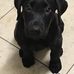 Brian Weinmann - Facebook