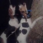 Brian Weirich - @fdfgygggt - Instagram