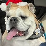 Brian D. Welborn - @bdwelborn1968 - Instagram