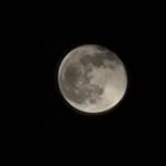 brian - @brianwelder71 - Instagram