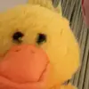 Brian - @brian_wendellious - TikTok