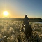 Brian wendel - @brianwendel98 - Instagram