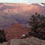 Brian Wendell - @wendellb9 - Instagram