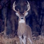 Brian Wendt - @mudbuckredneck - Instagram
