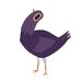 Brian Wendt - Facebook