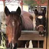 briannawendt - @brianna.wendt - TikTok