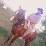 Brian Werro - @werrobrian - Instagram