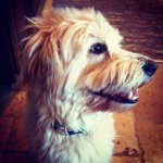 Brian Wertz - @bmwertz - Instagram