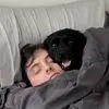 Brian Wesley - @brian.wesley8 - TikTok