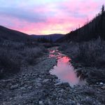 Brian Wessel - @bowhunterspath_bw - Instagram