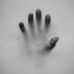 Brian Westberg - Facebook