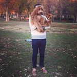 Brian Wexler - @wexlemania - Instagram
