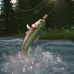 Brian Weyant - Facebook