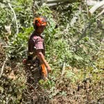 Bryan Weyant - @weyantwoodlandsolutions - Instagram