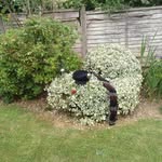 Brian Wharton - @bribexpad - Instagram