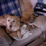 Brian Wheatbrook - @brianwheatbrook - Instagram