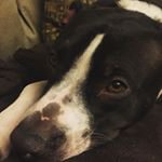 Brian Whetsel - @up_lintisth - Instagram