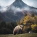 Brian Whipple - Facebook