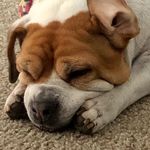 Brian Whitenack - @beemerstrong - Instagram