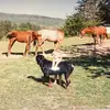 GrassClippings - @brian.whitmire1 - TikTok