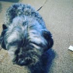 brian Whitmore - @whitmore4867 - Instagram