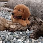 Brian Whittingham - @brian.whittingham.12 - Instagram