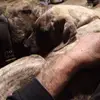 Brian Whitton - @brian.whitton - TikTok