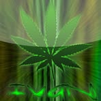 Brian Wiacek - Facebook