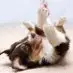wiggerbrian - @wiggerbrian - TikTok