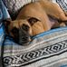 Brian Wilder - Facebook