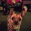 Brian Wilder - @brian.wilder2 - TikTok