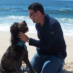 Brian Wimer - @bwgoldbear - Instagram