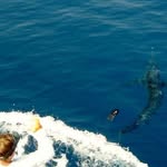 Brian Wimmer - @captbrianwimmer - Instagram