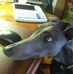 Brian Wimmer - Facebook