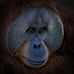 Brian Wimsatt - Facebook