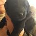 Brian Winch - Facebook