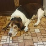 Brian Winchell - @brianwinchell84 - Instagram