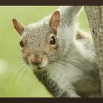 Brian Winchester - @budderzthesquirrel - Instagram